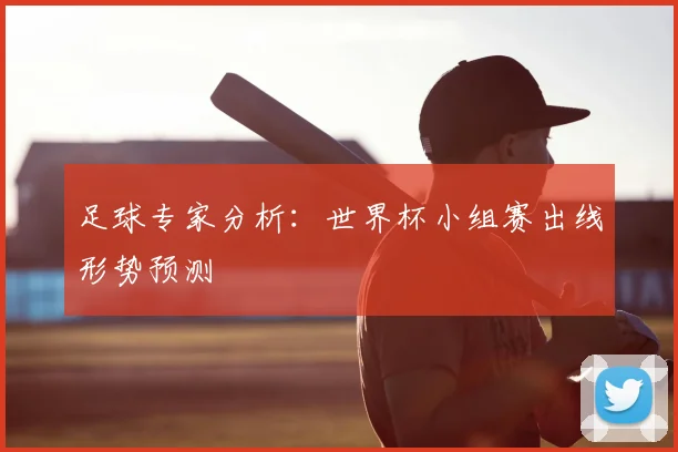足球专家分析：世界杯小组赛出线形势预测