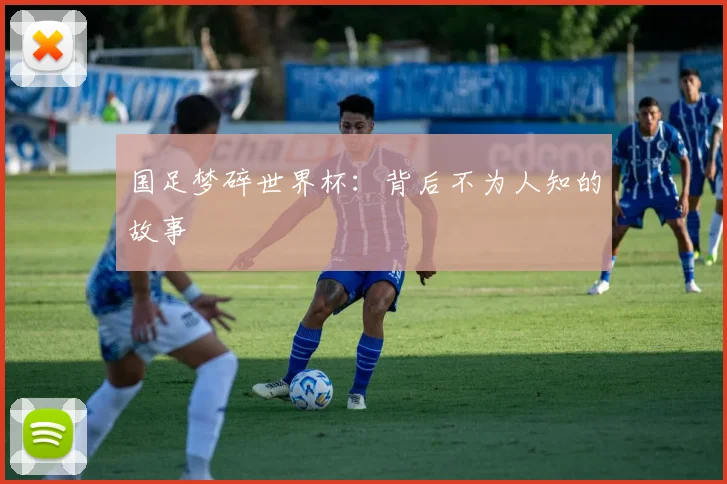 国足梦碎世界杯：背后不为人知的故事
