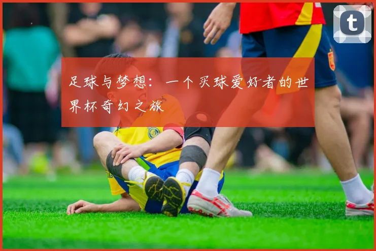 足球与梦想：一个买球爱好者的世界杯奇幻之旅