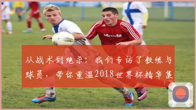 从战术到绝杀：我们专访了教练与球员，带你重温2018世界杯精华集锦